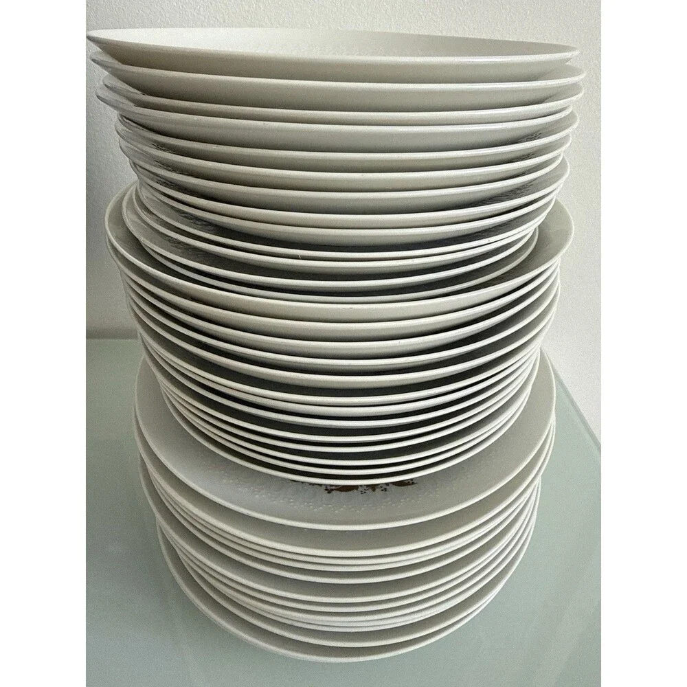 Rosenthal Germany 1940s-1950s Gold Porcelain Dinnerware Set 39Pc